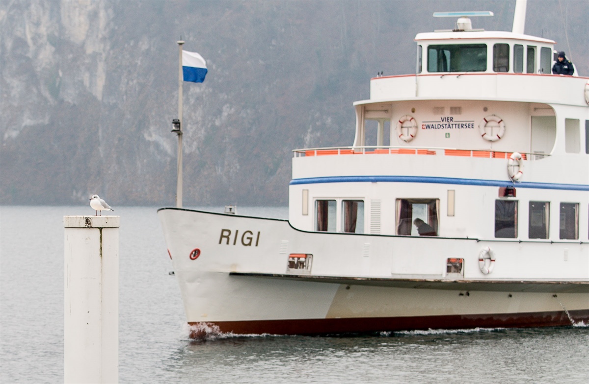 auf einer der letzten Fahrten von Motorschiff Rigi